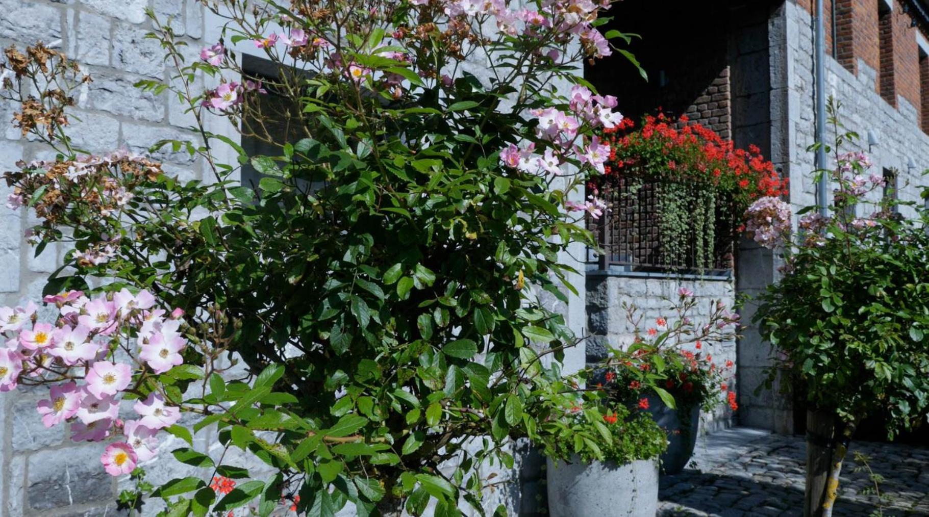 Gites Ferme De La Barriere Chimay Dış mekan fotoğraf